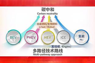 开云官方苹果下载安装截图0